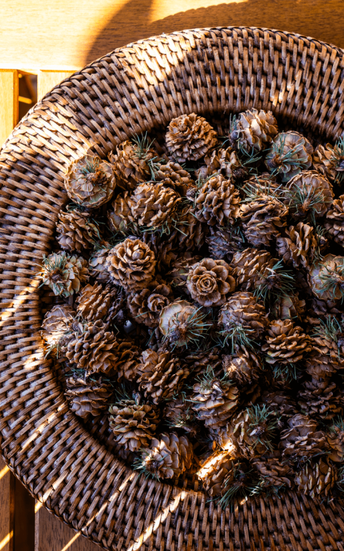 26.apartment sonnmatten-14